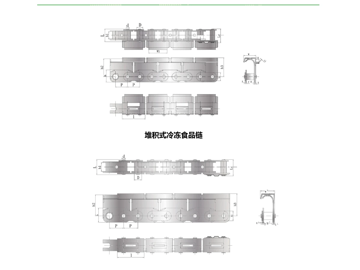 SFF-SS38.1 Stored Frozen Food Conveyor Chain technical dimension drawing